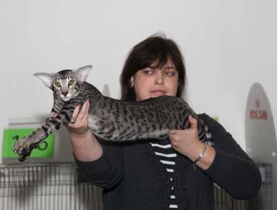 �������� ����� '������� ���-�����' 30 ������-1 ������� 2013., ������������ ��� 4128